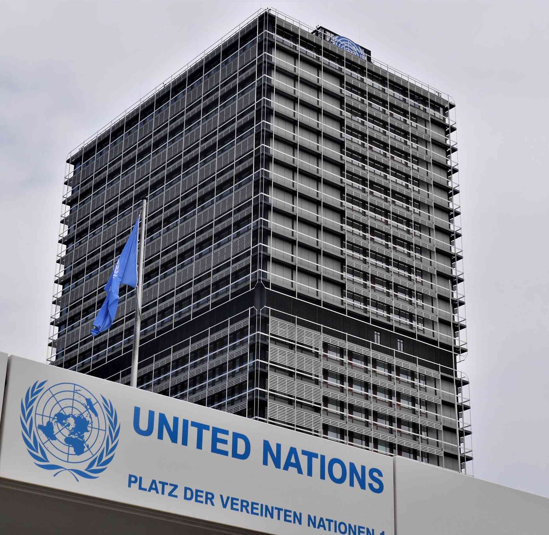 فرصت شغلی سازمان ملل